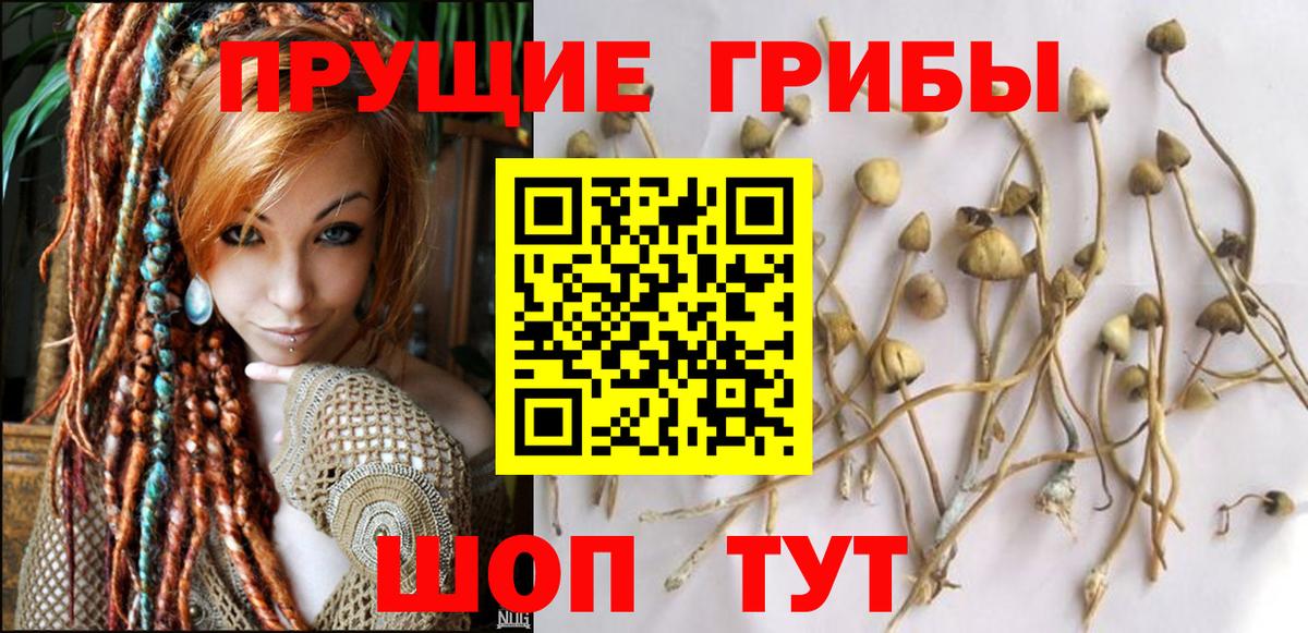 Донецк  Галлюциногенные грибы Psilocybine cubensis  Псилоцибиновые грибы Cubensis  Вход с VPN 